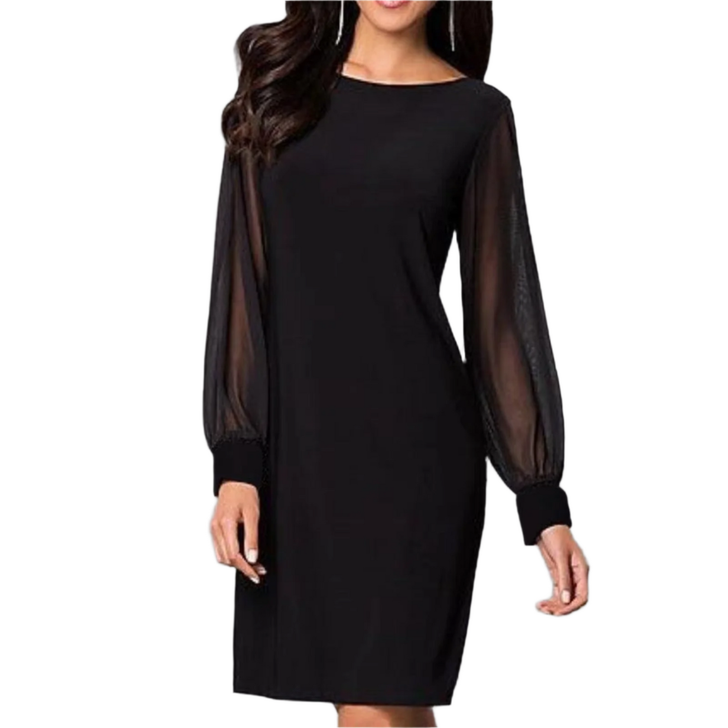 Elegant Shiny Mesh Bodycon Dress – Effortless Glamour & Sophistication
