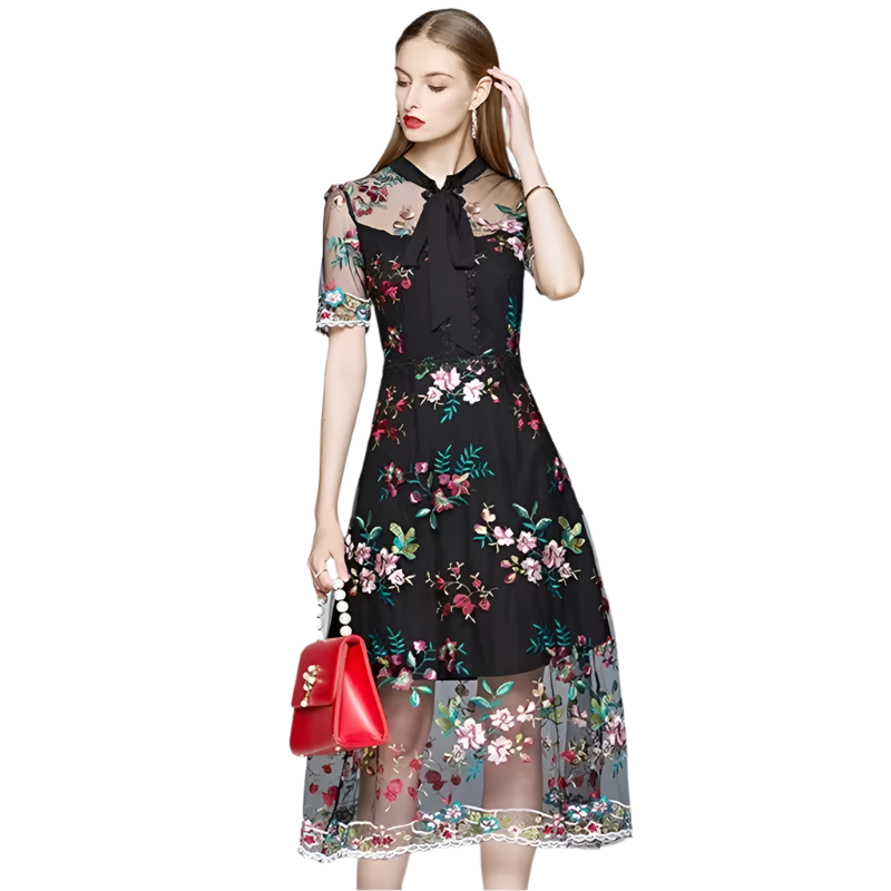 Elegant Mesh Embroidered A-Line Dress – Timeless Femininity