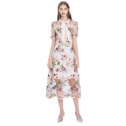 Elegant Mesh Embroidered A-Line Dress – Timeless Femininity